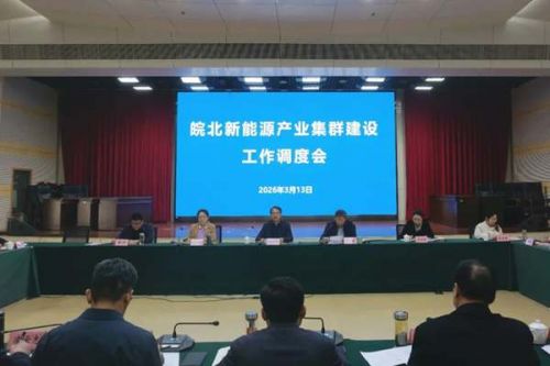 安徽省生态环境厅召开皖北新能源产业集群建设工作调度会