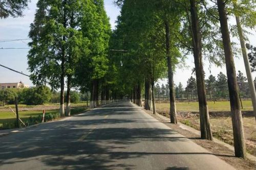 财政部发文：节能减排补助资金实施期限延长至2030年