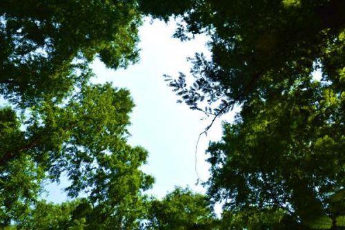 中央第一生态环境保护督察组向北京市反馈督察情况