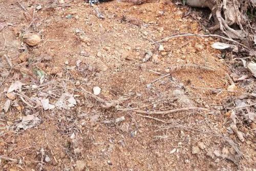 全国土壤污染防治部际协调小组2026年全体会议在京召开