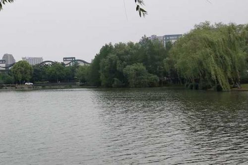 七部门联合印发意见 加快推动小水电绿色转型高质量发展