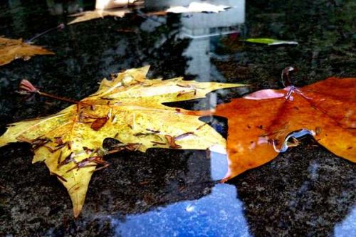 工信部负责同志解读《节能装备高质量发展实施方案(2026&mdash;2028年)》