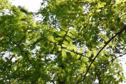 徐威任福建省生态环境厅厅长