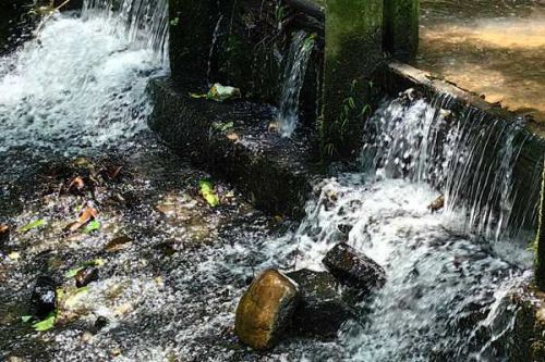 合肥包河区：强化蓝藻防控，守护巢湖安澜