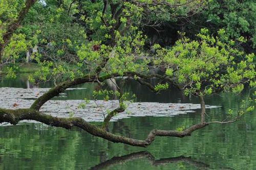 1-3月重要环保文件汇总