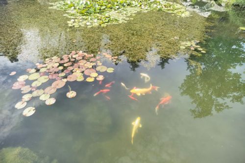 2.4亿！山西朔州城发生活污水处理厂扩容提质工程总承包中标