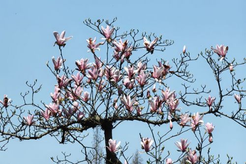 《美丽常州建设行动方案（2026&mdash;2030年）》发布