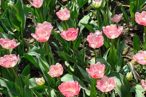 生态环境部直属企事业单位2026年度公开招聘公告