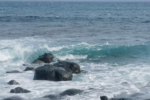 让&ldquo;鸿蒙大脑&rdquo;当能源总管！龙华这座水厂实现&ldquo;水光储充&rdquo;自产绿电