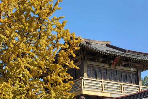 绿色&ldquo;碳&rdquo;险家｜今天起，坐地铁公交能&ldquo;攒钱&rdquo;！杭州这一平台上线