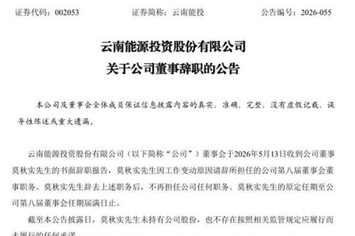 云南能投董事辞职