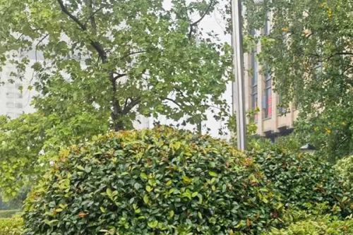 新闻发布会实录 | 临沂市生态环境局解读《临沂市中心城区声环境功能区划分方案》