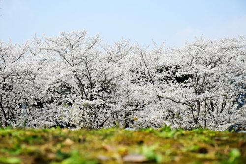 湖北省生态环境厅通知！加强建设用地土壤污染防治联动监管