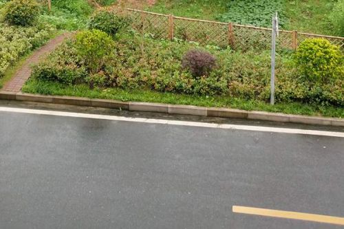 改革之声 | 义乌机动车污染防治&ldquo;一件事&rdquo;改革试点 实现经济环境效益&ldquo;双赢&rdquo;
