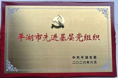 喜报！川源党总支获评&ldquo;先进基层党组织&rdquo;