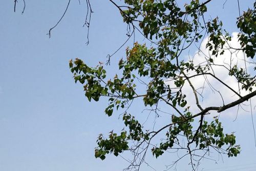 涉节能环保！《河北省政府投资基金重点投资领域清单（试行）》公开征求意见