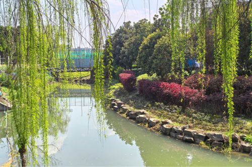 8692万！1万m³/d污水处理厂提标改造工程项目将招标
