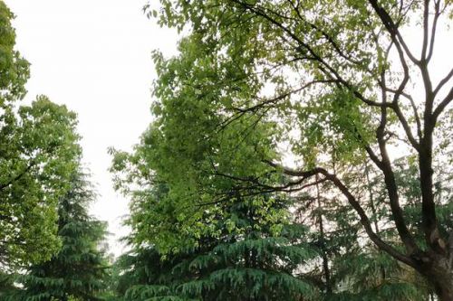 东莞市拟出台环境空气质量达标规划 将强化VOCs全流程综合治理