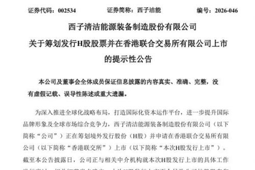 西子洁能筹划发行H股股票并在香港联合交易所有限公司上市