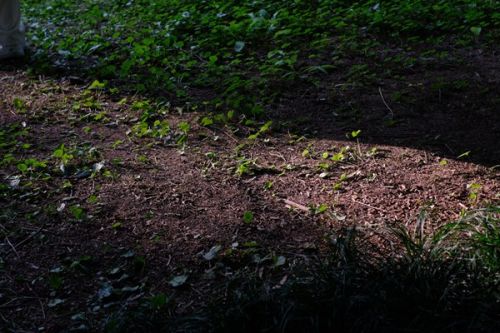 环保新质生产力｜矿区土壤生态修复与绿色复垦关键技术与应用示范