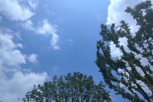 1749万！重庆永川三峰烟气氮氧化物提标改造项目预中标