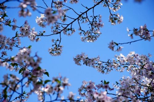 环保视点丨政策密集落地、资本加速扫货，环保这个八月不平静（2026年第32期）